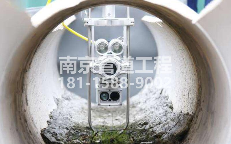 摄山星城闻兰QV检测